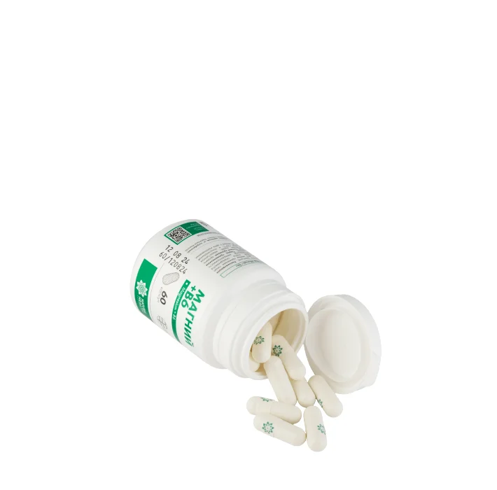 Магний + B6 60 капсул